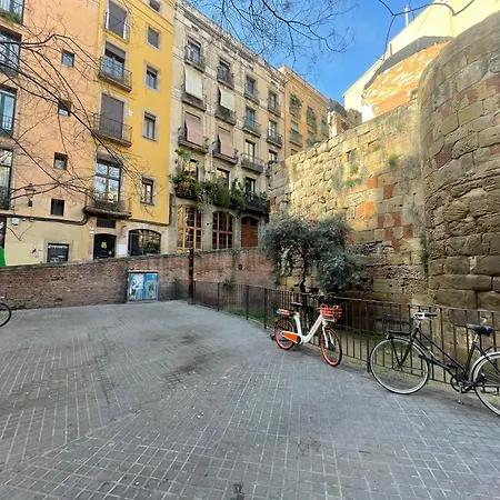Original Duplex In The Center Of Barcelona-2